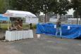 IMG 3075 W