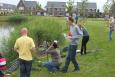 IMG 2794 web