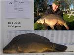 Terugvangst Spiegelkarper nr 22 uitzetjaar 2012