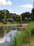 Verwijderen waterplanten wijk de Erven
