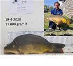 11 Kilo Spiegelkarper